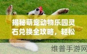 摩尔庄园手游小红猪坐骑获取全攻略，萌宠轻松入手秘籍！