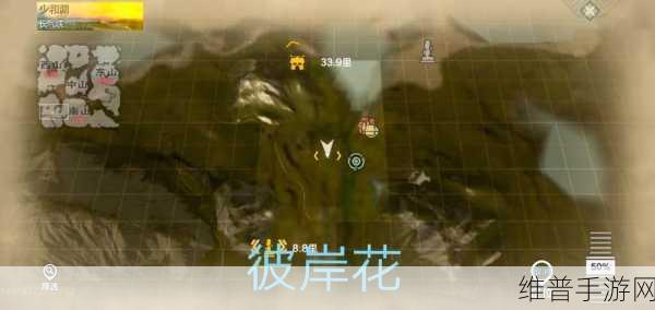 妄想山海巫灵铁铁位置攻略，揭秘快速找到隐藏的巫灵之境
