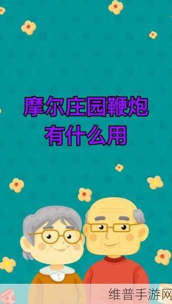 摩尔庄园爆竹作用全解析，点燃欢乐，提升游戏乐趣的秘籍