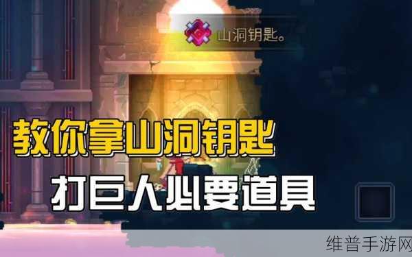 重生细胞内六角钥匙获取方法详解，快速攻略与技巧全解析
