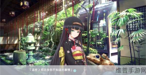 美少女万华镜5：美少女万华镜5：梦幻星辰的奇妙冒险之旅