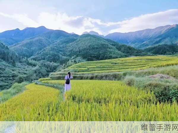 女生和男生一起拨萝卜不盖被子黄片：秋日田园：男女共趣拨萝卜，温馨不盖被子的故事