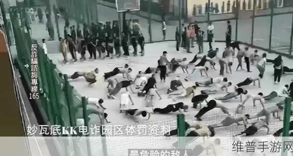 缅北北部血腥2023黑网：缅北地区2023年黑网暴力事件频发，局势愈加严峻
