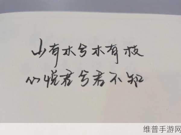 无内无爱心：心灵无畏，爱意无限：探索内在的力量与温暖
