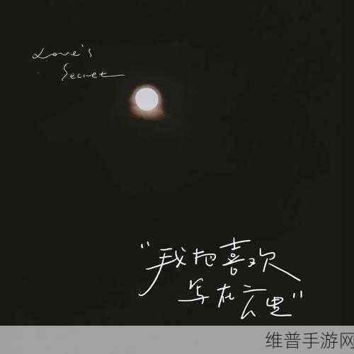 无内无爱心：心灵无畏，爱意无限：探索内在的力量与温暖