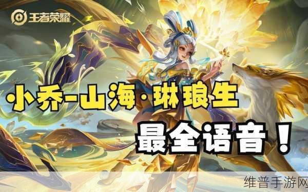 王者荣耀小乔山海琳琅皮肤价格全解析
