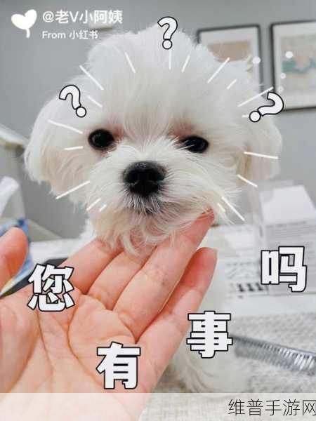 傻小子长了个驴玩意：傻小子意外收获奇特驴玩意，搞笑故事接连不断！