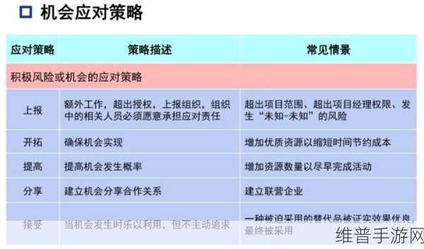 风险网站免费观看：全面解析拓展风险管理的有效策略与方法