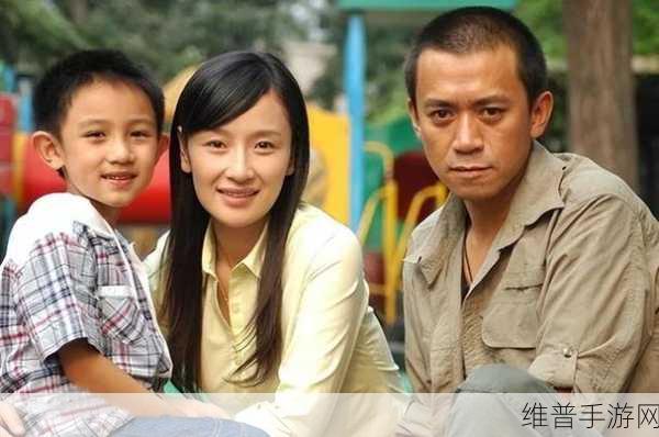 96533电视大全免费使用：全面解析96533电视大全的免费使用攻略与技巧