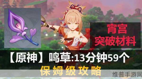 原神12朵鸣草任务完成全攻略，快速收集技巧与深度分享