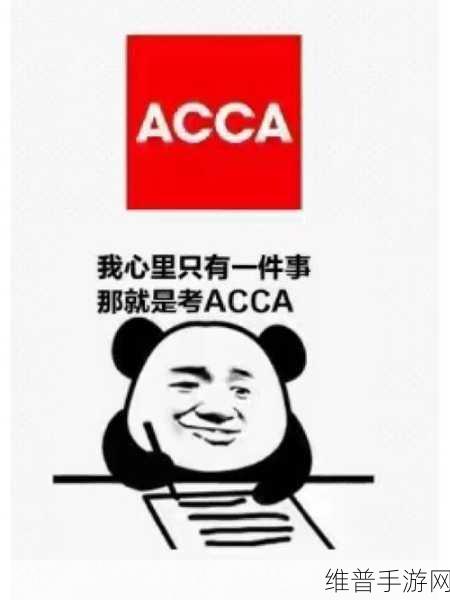 ACCA少女网课视频2023,韩国：“2023年韩国ACCA少女网课视频，轻松学习财务知识！”