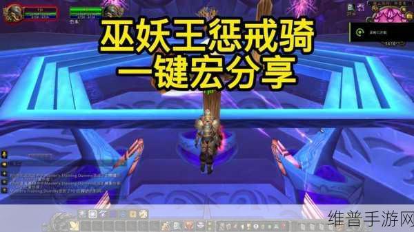 惩戒骑一键输出宏设置：如何设置惩戒骑一键输出宏，实现高效连招技巧
