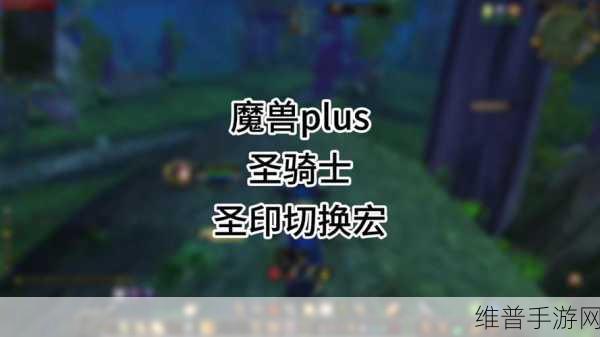 惩戒骑一键输出宏设置：如何设置惩戒骑一键输出宏，实现高效连招技巧