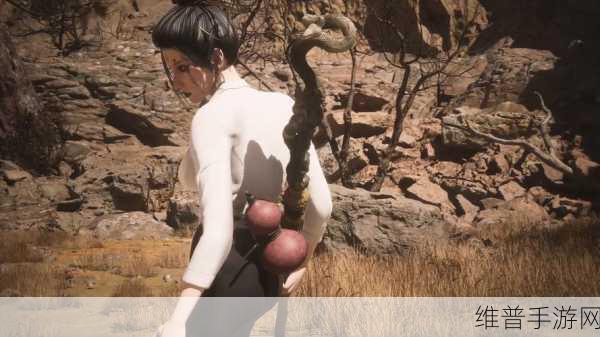黑神话绅士泳装四妹mod：黑神话：绅士四妹泳装MOD全新体验与玩法解析