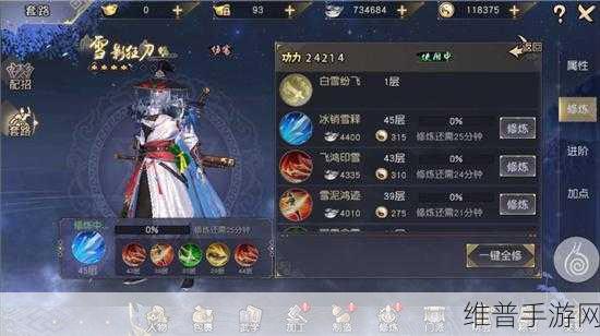九阴真经3D深度攻略，武学装备灵宠升级技巧全面解析