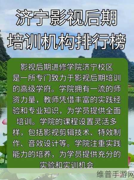 2024 b站永不收费：2024年B站永不收费，会员服务全面升级新体验