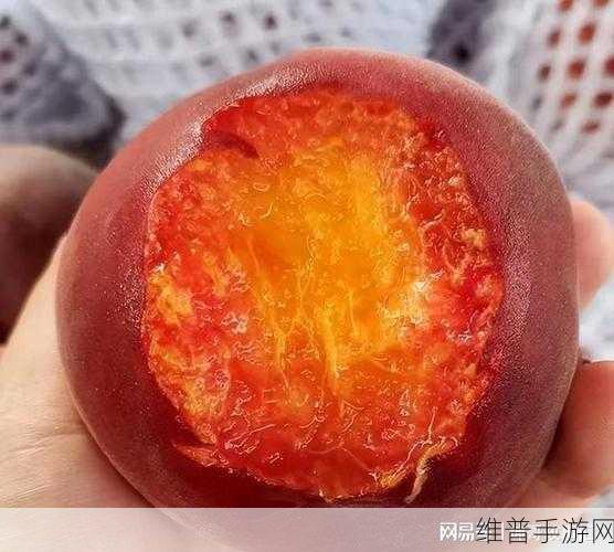 坤操桃子：桃子丰收季节，拓展坤操尽显活力与热情