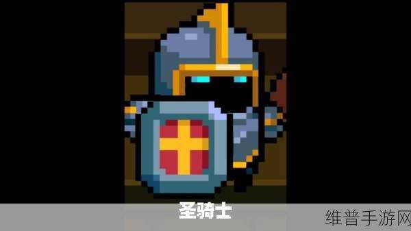 元气骑士圣骑士全皮肤图鉴，解锁骑士荣耀的璀璨篇章