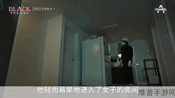 WINDOWSCHANNEL视频免费的：全方位解析Windows Channel 免费视频的使用与技巧