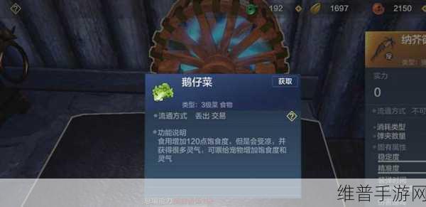 妄想山海鹅仔菜制作全攻略