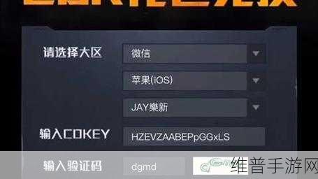 和平精英稀有精英令获取攻略，揭秘特殊令牌获得方法