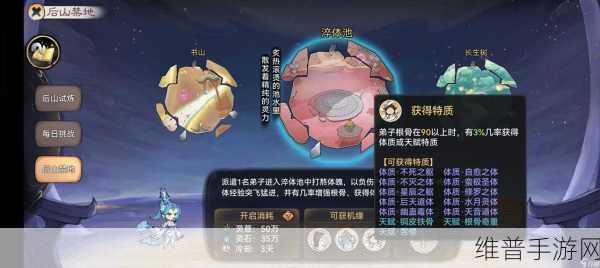 最强祖师手游攻略，六维属性提升与优先顺序详解
