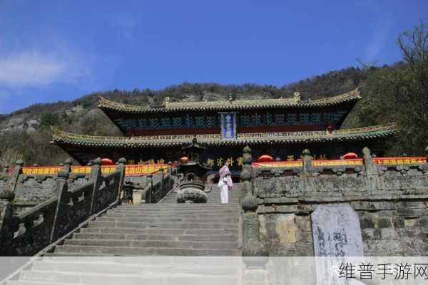 伊洛纳金色扭蛋机探寻之旅，位置详解与攻略指南