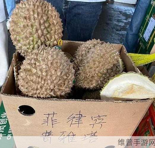 九幺9·1旧版安装：拓展九幺9·1旧版安装教程，助你顺利升级体验！
