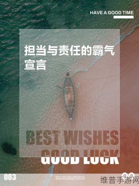 17C得嗷嗷叫：17C：在风云变幻中勇往直前的热血征程