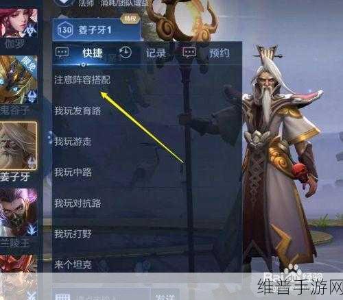 王者荣耀法师职业阵容搭配深度解析