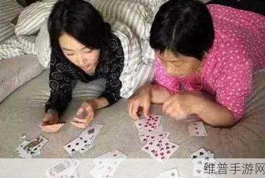 拔萝卜不盖被子打扑克：在寒风中拼搏：拔萝卜、打扑克和温暖的被子