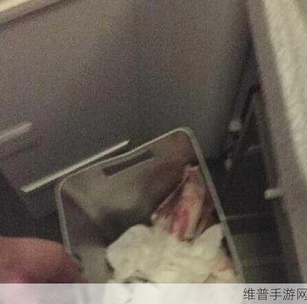 已满18岁带好纸巾从此转入新世界：成年人的新起点：纸巾在手，探索未知世界