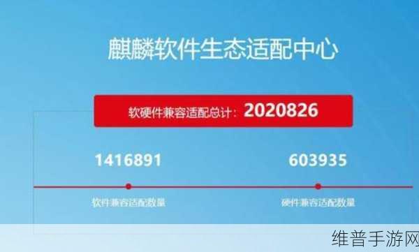 中国windows野外mgdrcc下载：如何在中国环境下成功下载Windows野外MGDRCC软件指南