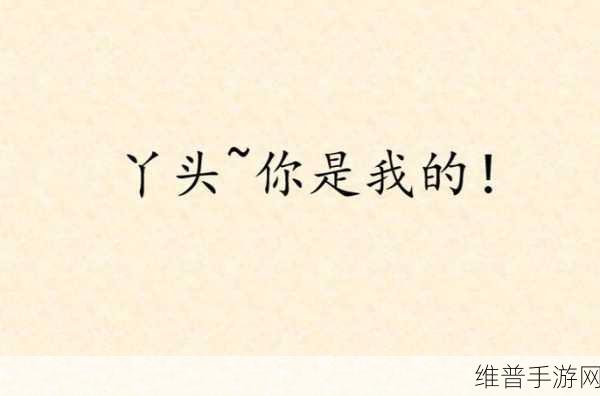 丫头帮我灭灭火：丫头出马，帮我解决一场火灾的烦恼