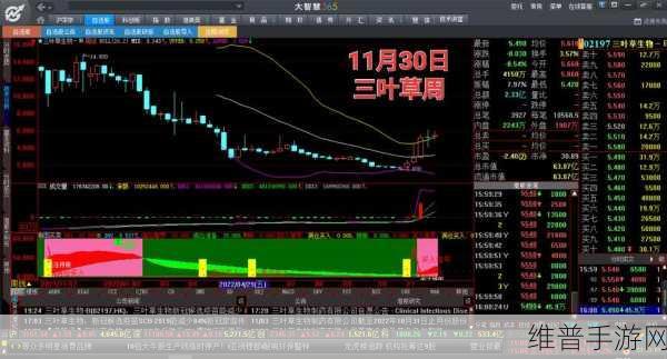 三叶草欧洲码在钱：探索三叶草欧洲码背后的财富与机会新机遇