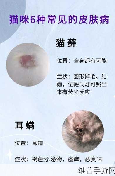 荧去掉小内皮肤：“拓展荧光技术在皮肤病治疗中的应用研究”