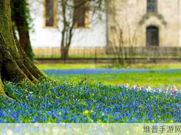 丰裕纵满2688高清壁纸：探索丰盈之美：2688高清壁纸带你进入视觉盛宴