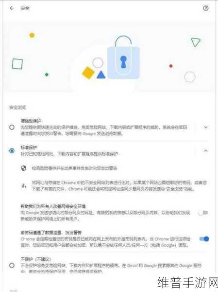 黑网料什么浏览器能打开：使用哪些浏览器可以访问拓展黑网内容？