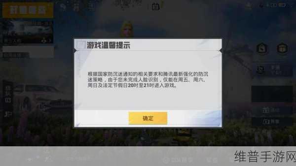 和平精英成年实名认证仍有防沉迷？终极解决之道