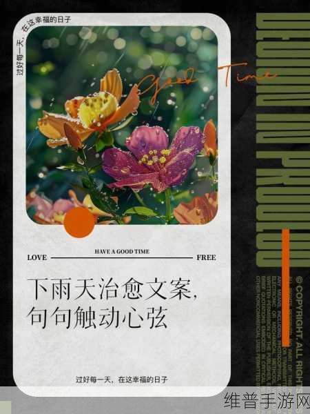从后面抱着你站在窗前看雨的图片：在细雨中，温暖的怀抱与窗外的静谧相依