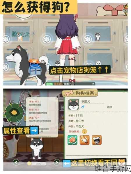 小森生活亲密度提升秘籍大公开