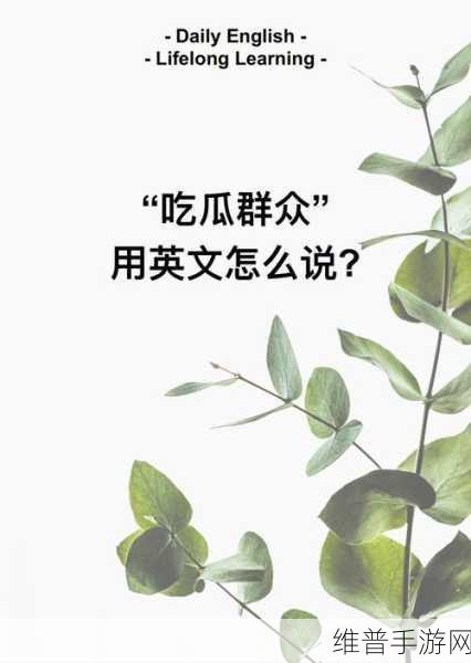 17c吃瓜：“17世纪的吃瓜文化：历史中的八卦与闲聊”