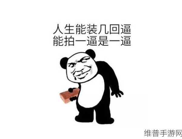 最强祖师之白千儿养成秘籍大揭秘