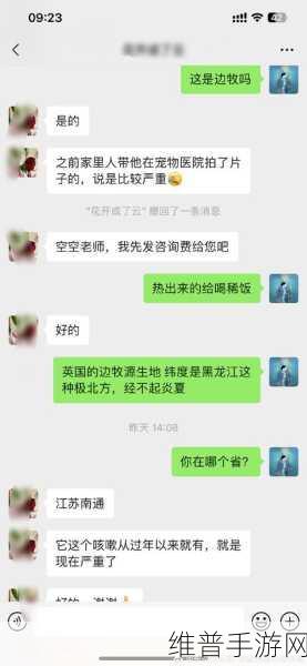 人狗胶配方大全及功效说明书：全面解析人狗胶配方及其多种功效说明书