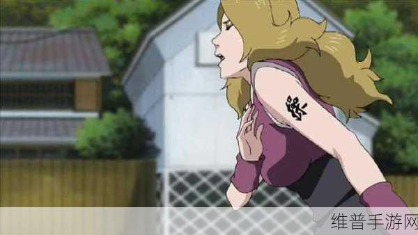 火影忍者女忍者耐力程度测试：火影忍者女忍者耐力极限挑战与测试研究