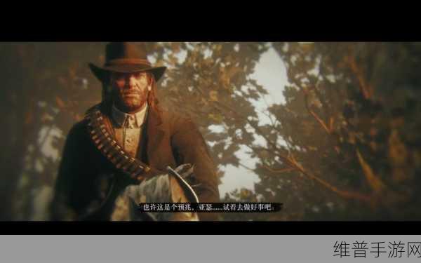 广西公园里的老年镖客:广西公园中的老年镖客:坚守传统与现代生活的交融