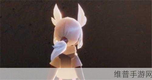 光遇手游攻略，揭秘白枭发型获取方法与兑换地点