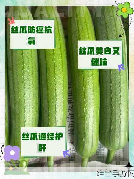 丝瓜破解18岁：丝瓜的神奇功效与18岁年轻肌肤的护理由你来揭秘！