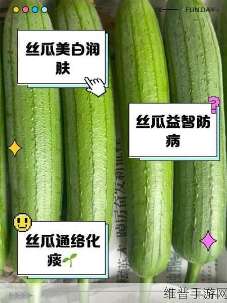 丝瓜破解18岁：丝瓜的神奇功效与18岁年轻肌肤的护理由你来揭秘！