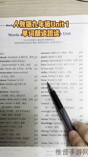 九1免费版网站nbaoffice6：全面解析九1免费版网站NBAoffice6的独特功能与优势